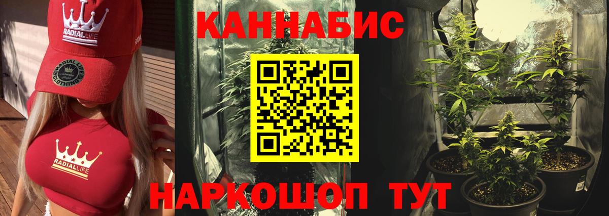 Бошки Шишки Amnesia Луга